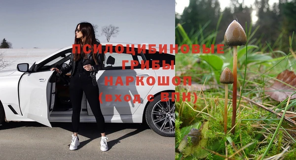 гидропоника Абдулино