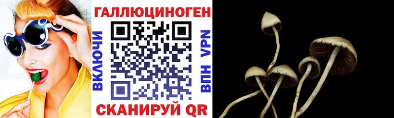 Псилоцибиновые грибы Magic Shrooms  как найти наркотики  Новочебоксарск 